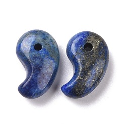 Lapis Lazuli Naturelles lapis-lazuli pendentifs, Forme de virgule, 20x13x7mm, Trou: 2mm