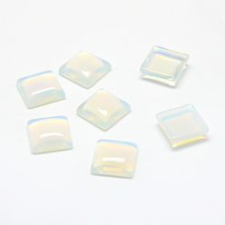 Opalite Cabochons opalite, carrée, 10x10x5mm