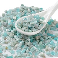 Amazonite Natural Amazonite Chip Beads, No Hole/Undrilled, 2~8x2~4mm, about 8500pcs/500g