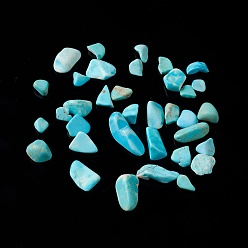 Howlite Natural Magnesite Chip Beads, Dyed & Heated, No Hole/Undrilled, 5~10.5x5~7x2~4mm