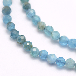 Apatite Natural Apatite Beads Strands, Faceted, Round, 3mm, Hole: 0.5mm, about 132pcs/strand, 15.7 inch(40cm)