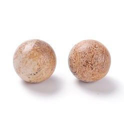 Jaspe Image Picture naturelles perles de jaspe, pas de trous / non percés, pour création de fil enroulé pendentif , ronde, 20mm