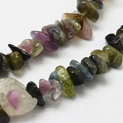 Tourmaline Natural Tourmaline Beads Strands, Chip, Grade B, 3~5x7~13x2~4mm, Hole: 0.4mm, 35 inch