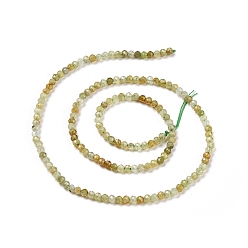 Garnet Natural Green Garnet Beads Strands, Faceted, Round, 3mm, Hole: 0.6mm, about 126pcs/strand, 15.16 inch(38.5cm)