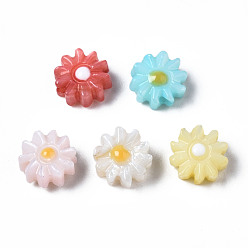 Mixed Color Natural Freshwater Shell Beads, with Enamel, Flower, Mixed Color, 6x3mm, Hole: 0.9mm