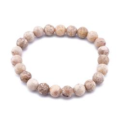 Maifanite Natural Maifanite/Maifan Stone Bead Stretch Bracelets, Round, 2 inch~2-3/8 inch(5~6cm), Bead: 5.8~6.8mm