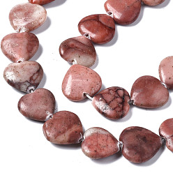 Red Picture Jasper Natural Red Picture Jasper Beads Strands, Heart, 14~15x15~17x4~5mm, Hole: 0.6mm, about 20pcs/strand, 16.38 inch(41.6cm)