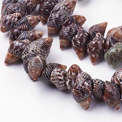 Spiral Shell Natural Spiral Shell Beads Strands, Conch, 5~10x12~17x6~10mm, Hole: 1mm, about 94pcs/strand, 15.3 inch(39cm)