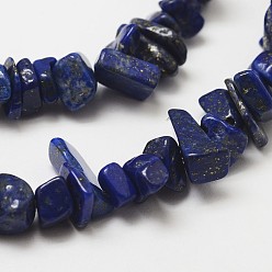 Blue Natural Lapis Lazuli Beads Strands, Chip, Grade A, Blue, 3~5x7~13x2~4mm, Hole: 0.4mm, 32 inch
