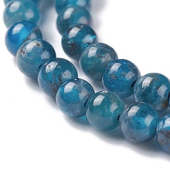 Apatite Natural Apatite Beads Strands, Round, 4mm, Hole: 0.8mm, about 95pcs/strand, 15.5 inch(39.5cm)