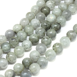 Labradorite Chapelets de perles labradorite naturelle , ronde, 10mm, Trou: 1.4mm, Environ 38 pcs/chapelet, 15.75 pouce (40 cm)