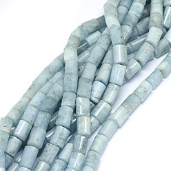 Аквамарин Природные Аквамарин бисер нитей, колонка, 11~15x9~9.5 мм, отверстие : 1 мм, около 30~31 шт / нитка, 15.5 дюйм