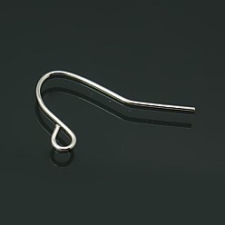 Platinum Jewelry Findings, Iron Earring Hooks, Ear Wire, with Horizontal Loop, Nickel Free, Platinum Color, 12x17mm