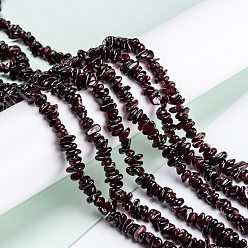 Garnet Natural Garnet Beads Strands, Grade AB+, Chip, 3~16x3~8mm, Hole: 0.7mm, 32.28''(82cm)