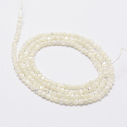 White Shell Natural White Shell Beads, Mother of Pearl Shell Beads Strands, Round, 2mm, Hole: 0.5mm, about 190pcs/strand