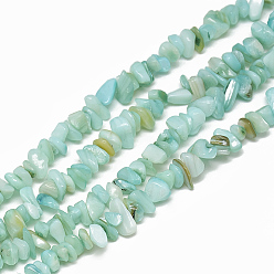 Turquoise Pâle Chapelets de perles en coquille eau douce , teint, puce, turquoise pale, 4~14x4~8x1~8mm, Trou: 1mm, Environ 210~250 pcs/chapelet, 31.4 pouce