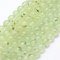 Prehnite Perles naturelles préhnite brins, ronde, 8mm, Trou: 1mm, Environ 49 pcs/chapelet, 15.3 pouce (39 cm)