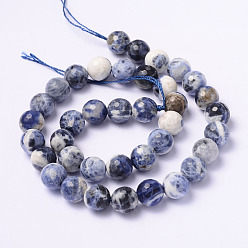 Sodalite Facettes sodalite naturelle rondes rangées de perles, 10mm, Trou: 1mm, Environ 33 pcs/chapelet, 14.9 pouce