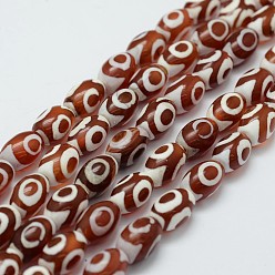 Brown Tibetan Style 3-Eye dZi Beads Strands, Natural Agate Beads, Dyed & Heated, Barrel, Brown, 12x8mm, Hole: 2mm, about 30pcs/strand, 13.9 inch(355mm)