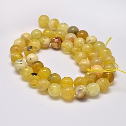 Yellow Opal Natural Yellow Opal Round Bead Strands, 10mm, Hole: 1mm, about 38pcs/strand, 15.5 inch