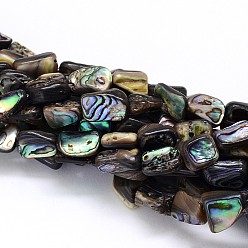 Colorful Natural Paua Shell Beads Strands, Nuggets, Colorful, 10~16x6~9x4~6mm, Hole: 1mm, about 15.7 inch
