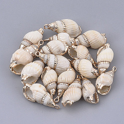 Coquillage De Mer Galvanoplastie en spirale coquille pendentifs, avec les accessoires en fer, or, couleur de coquillage, 19~29x9~13x8~10mm, Trou: 1.6mm