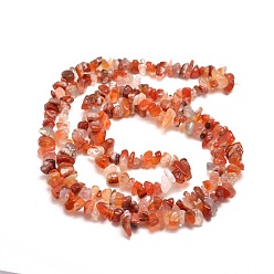 Carnelian Natural Carnelian Chip Bead Strands, 5~8x5~8mm, Hole: 1mm, about 31.5 inch