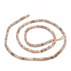 Multi-Moonstone Natural Multi-Moonstone Beads Strands, Cube, 2x2x2mm, Hole: 0.6mm, about 173pcs/strand, 15.55''(39.5cm)