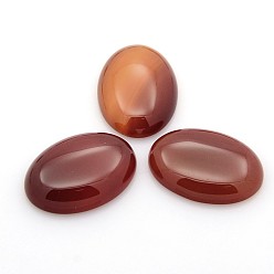 Cornaline Cabochons de pierres fines naturelles, ovale, agate rouge, 25x18x5~7mm