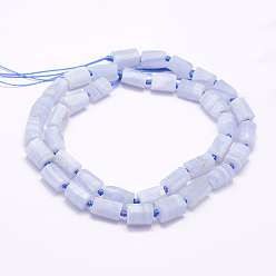 Blue Lace Agate Natural Blue Lace Agate Beads Strands, Grade A, Column, 8~12x7~9x4~8mm, Hole: 1.5mm, about 35pcs/strand, 16.5 inch(42cm)