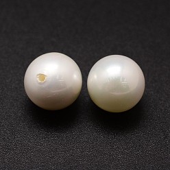 White Shell Pearl Beads, Round, Grade A, Half Drilled, White, 14mm, Hole: 1.2mm