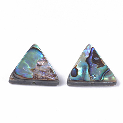 Colorful Abalone Shell/Paua Shell Beads, Triangle, 13x14.5x3.5mm, Hole: 1mm