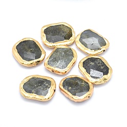 Labradorite Perles naturelles de labradorite, bord plaqué or, facette, ovale, 22~25x25~30x6~9mm, Trou: 0.8~1mm