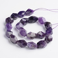 Amethyst Nuggets Natural Amethyst Beads Strands, 15~22x8~17mm, Hole: 1mm, about 18~22pcs/strand, 15 inch