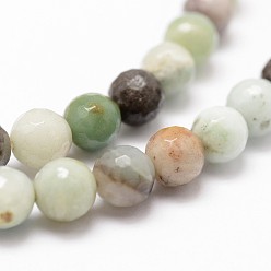 Flower Amazonite Natural Flower Amazonite Beads Strands, Faceted, Round, Colorful, 6mm, Hole: 1mm, about 61pcs/strand, 14.9 inch~15.1 inch