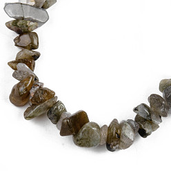 Labradorite Unisex Chip Natural Labradorite Beaded Stretch Bracelets, Inner Diameter: 1-3/4~2 inch(4.5~5cm)