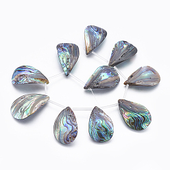 Paua Shell Natural Abalone Shell/Paua Shell Beads Strands, Top Drilled Beads, Teardrop, 35~39x19~23x3~6mm, Hole: 0.5mm, about 10pcs/strand, 8.46 inch(21.5cm)
