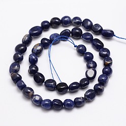 Sodalite Natural Sodalite Bead Strands, Tumbled Stone, Nuggets, 9~11x9~11mm, Hole: 1mm, about 15.74 inch