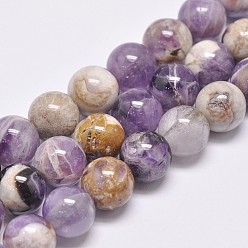 Amethyst Natural Chevron Amethyst Beads Strands, Round, 12mm, Hole: 1mm, about 33pcs/strand, 14.8 inch(37.5cm)