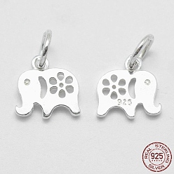 Silver 925 Sterling Silver Pendants, Elephant, with 925 Stamp, Silver, 10x10x1.5mm, Hole: 4mm