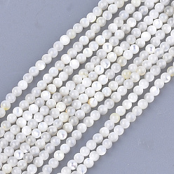 Creamy White Natural White Shell Beads, Mother of Pearl Shell Beads Strands, Round, Ivory, 3mm, Hole: 0.8mm, about 121pcs/strand, 14.9 inch
