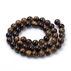 Tiger Eye Natural Tiger Eye Beads Strands, Round, 10mm, Hole: 1mm, about 40pcs/strand, 15.7 inch