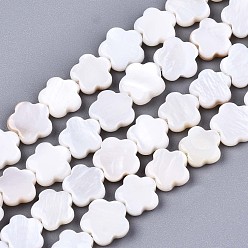 Seashell Color Natural Freshwater Shell Beads Strands, Flower, Seashell Color, 8x8x2.5mm, Hole: 0.6mm, about 46~48pcs/strand, 14.96 inch (38cm)