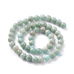 Amazonite Natural Amazonite Beads Strands, Round, 7~8mm, Hole: 1mm, about 50~60pcs/strand, 15.7 inch