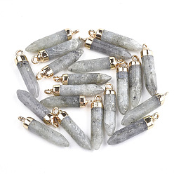Labradorite Electroplate Natural Labradorite Pointed Pendants, with Iron Findings, Bullet, Golden, 24~25x5.5~6x5.5~6mm, Hole: 1.6mm