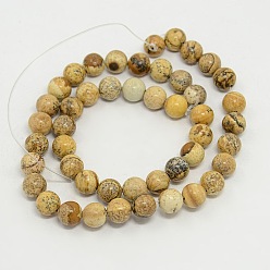 Picture Jasper Picture Jasper Round Beads Strands, Camel, 8mm, Hole: 0.8mm, about 48pcs/strand