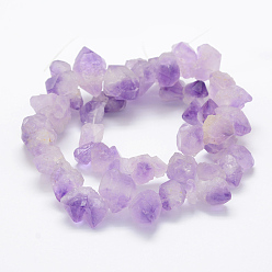 Amethyst Natural Amethyst Beads Strands, Nuggets, 11~28x8~22mm, Hole: 1mm, about 34~42pcs/strand, 14.7 inch~15.1 inch(37.5~38.5cm)