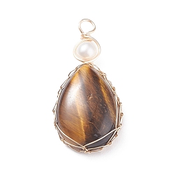 Tiger Eye Natural Tiger Eye Copper Wire Wrapped Pendants, with Grade A Natural Cultured Freshwater Pearl, Real 18K Gold Plated, Teardrop, 38~43x19~19.5x8~8.5mm, Hole: 3.5~3.8mm