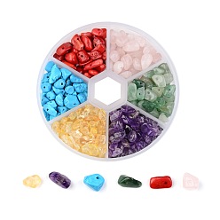 Mixed Stone 6 Color Gemstone Beads, Chip, Natural Amethyst, Synthetic Howlite, Natural Rose Quartz, Synthetic Coral, Natural Citrine, Natural Aventurine, 7~12x5~12x2~8mm, Hole: 0.3~0.6mm, about 350pcs/box