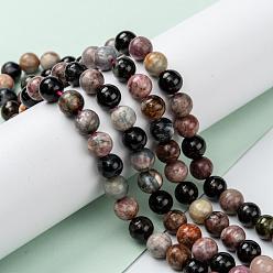 Tourmaline Tourmaline naturelle rangées de perles rondes, 8mm, Trou: 1mm, Environ 48 pcs/chapelet, 15.5 pouce